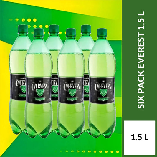 PAQUETE X6- EVEREST 1.5 L